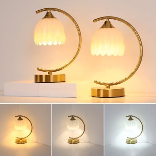 Shenmoyl Set of 2 Tulip Table Lamp, 5200mAh Cordless Touch Control Table Lamps with 3 Color Temps & Stepless Dimming, Rechargeable Battery Table Lamp for Living Room, Bedroom, Shelf (White Tulip)