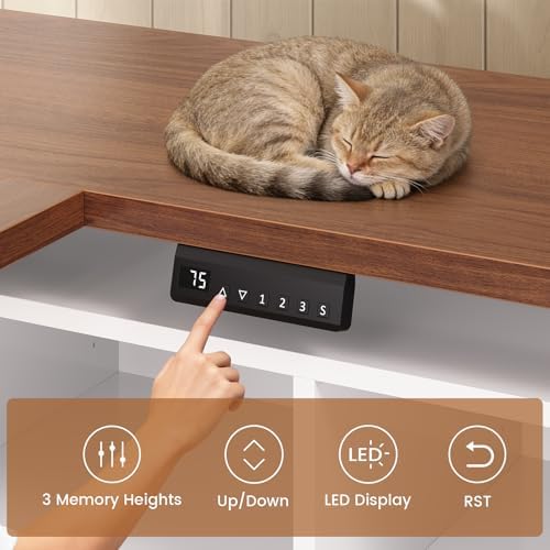 SEDETA 63" L Shaped Electric Standing Desk with Storage, Monitor Stand