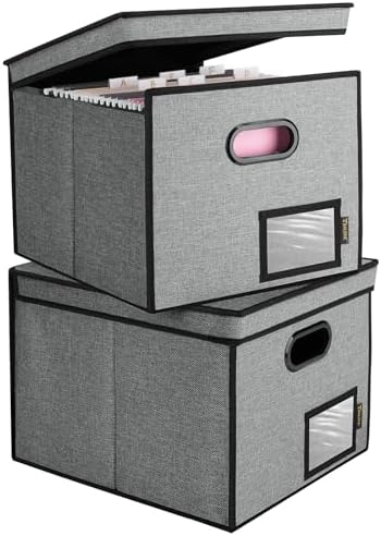 BALEINE File Organizer Box with Lid, Collapsible Hanging File Storage Box