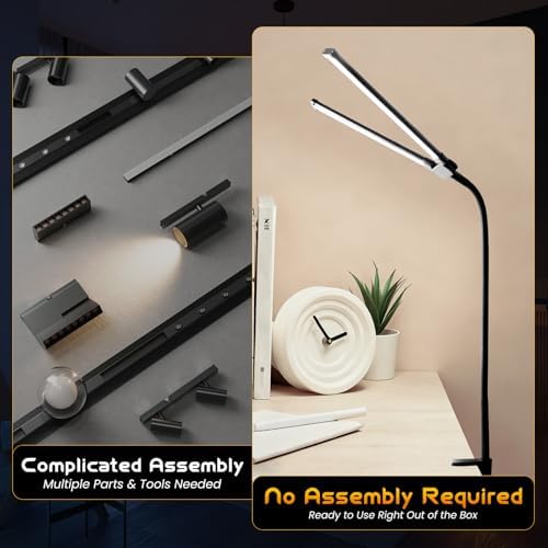 LED Desk Lamp for Office Dorm Home, No Assembly Required