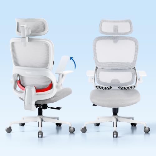 SIHOO B100 SE Soft Ergonomic Office Chair, Desk Chair with Lumbar Support