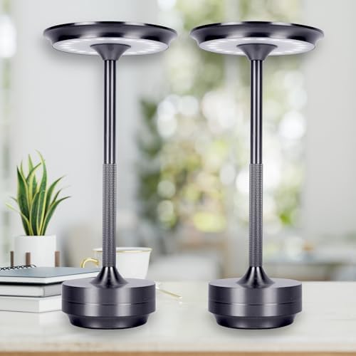 2 Pack Cordless Table Lamps Rechargeable, Portable Battery Operated Lamp, Stepless Dimming LED Table Light with Memory Function, for Outdoor/Dinner/Patio/Restaurant - Dark Silver