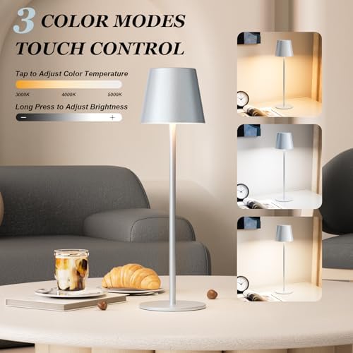 Kakanuo Silver Grey Cordless Lamp Rechargeable - 2 Pack 5000mAH Battery Operated Table Lamp for Counter, 3 Color Stepless Dimming Wireless Lamp for Dining Kitchen, Outdoor Patio, Touch Control