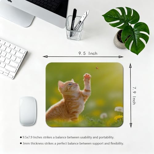 9.5x7.9 Inch Office/Gaming Mouse Pad, Lovely Orange Tabby Kitten Playing with Ladybug Adorable Spring Cat Pet, Cute Anti-Slip Mat for Desk Decor