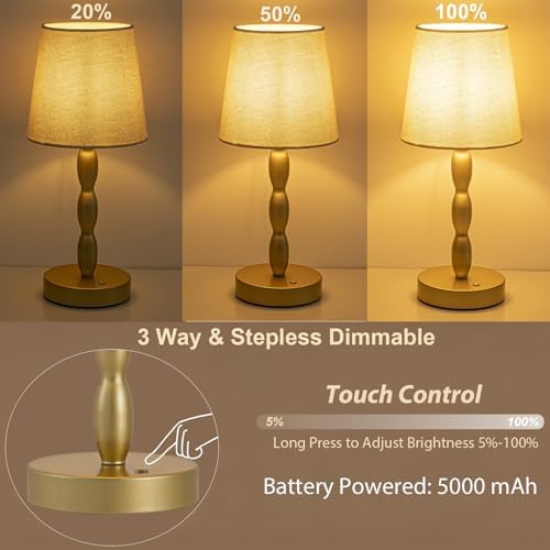 CASTLELIFE Rechargeable Cordless Table Lamp, 5000mAh Battery Powered Touch Desk Lamp, 3-Level & Stepless Dimmable Night Light, Portable Bedside Lamp for Bedroom, Outdoor, Bulb Included, Gold