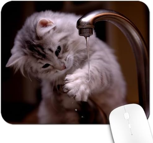 9.5x7.9 Inch Office/Gaming Mouse Pad, Curious Kitten Playing with a Dripping Faucet Lovely Cat Pet Funny Scene, Cute Anti-Slip Mat for Desk Decor