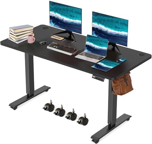 48'' × 24'' Height Adjustable Electric Standing Desk with Wheels