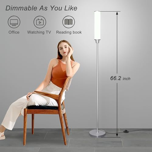 Nukanu Floor Lamp with Remote Control,Nickel