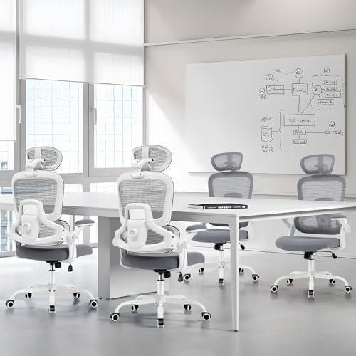 Office Chair with Adjustable Lumbar Support, Ergonomic Desk Chairs, Grey