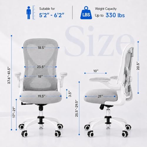 Ergonomic Home Office Chair, 4-Way Lumbar, Thick Cushion, 330LBS (Gray/Finish Silver)