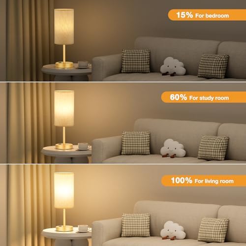 Fenmzee 17.4" Gold Lamp for Bedroom - Dimmable Touch, USB A+C, AC Outlet