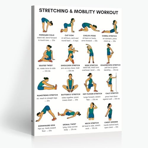 Stretching & Mobility Workout Poster, 16 Illustrated Full-Body Flexibility Chart with Hold Timing Guides, Bodyweight Daily Stretch Reference for Post-Workout Recovery & Joint Mobility Improvement(12x18inchs，Wrapped Framed)
