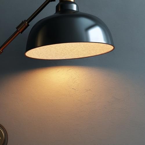 SEWACC 2-Pack Lamp Shade Diffuser 6.29In Round Ceiling Light Cover Anti-Glare Eye Protection Plate for Chandelier Pendant Light Table Lamp Desk
