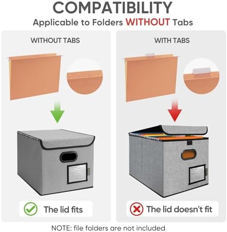 BALEINE File Organizer Box with Lid, Collapsible Hanging File Storage Box