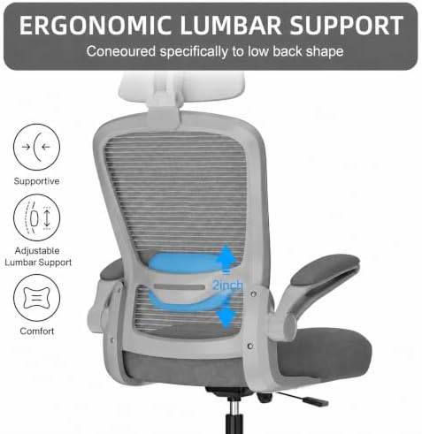 Mimoglad Office Chair, High Back Ergonomic Desk Chair with Adjustable Lumbar Support and Headrest, with flip-up Armrests for Guitar Playing, 5 Years Warranty (Modern, Grey/Gray)