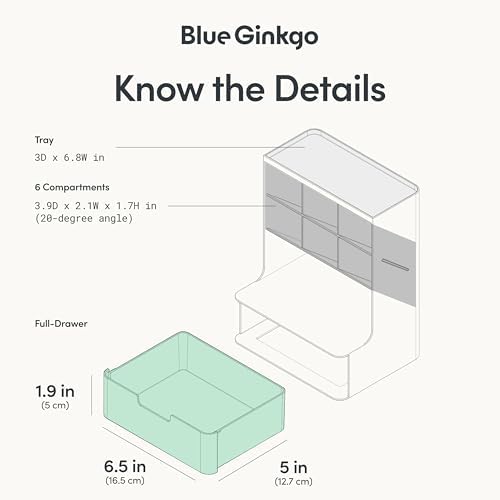 BLUE GINKGO Hive Pen Desk Organizer, Blue, Made in Korea