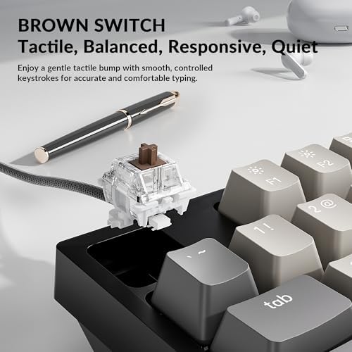 Keychron C1 Pro TKL Custom Wired Mechanical Keyboard, RGB Backlight