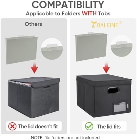 BALEINE File Organizer Box with Lid, Collapsible Hanging File Storage Box