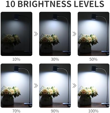 Dott Arts Desk Lamp,USB Clip On Light with 3 Color Modes,LED Reading Lamp
