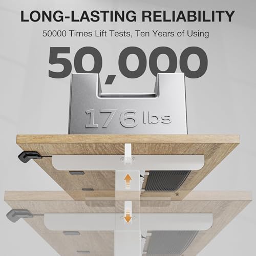 Acrolix 48x24 Electric Standing Desk with Cable Net, Oak