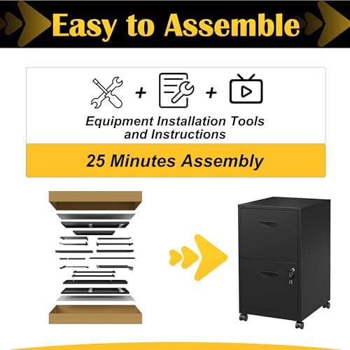 SteeLoong 2 Drawer File Cabinet,Metal Mobile File Cabinet with Lock Black