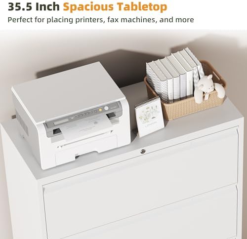 2 Drawer Metal Lateral File Cabinet with Lock for Home Office