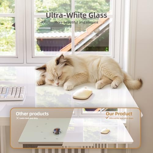 INNOVAR Glass Standing Desk with Drawers 55×24 Inch Super White