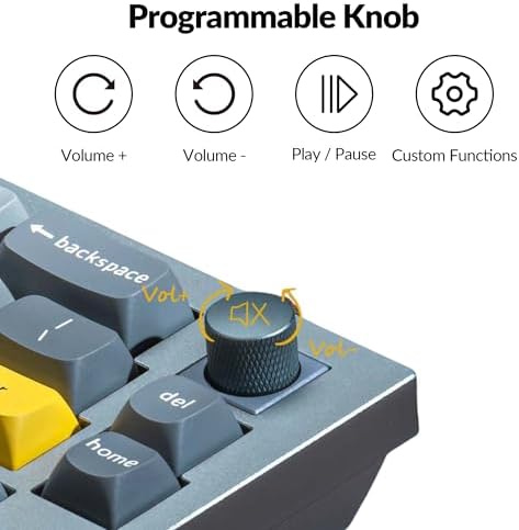 Keychron Q8 Wired Custom Mechanical Keyboard with Knob, 65% Alice Layout QMK/VIA Programmable, Hot-swappable Gateron G Pro Blue Switch, Double Gasket Compatible with Mac Windows Linux (Silver Grey)