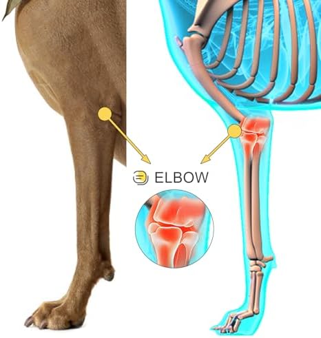 Dog Elbow Protector for Front Leg, Adjustable Shoulder Brace for Hygroma, Arthritis,Dysplasia Relief, Prevents Calluses & Pressure Sores from Hard Floors, Aids Wound Healing