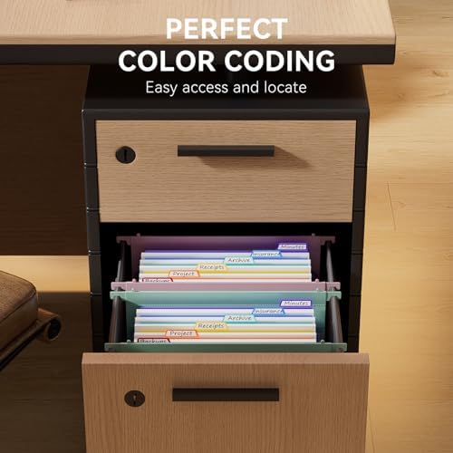 ThinkTex Plastic Expanding Hanging File Folders, 7 * 1.2" Accordion Pockets