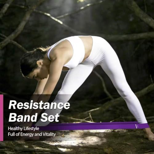 Resistance Bands for Working Out, 5 Levels Exercise Bands Set