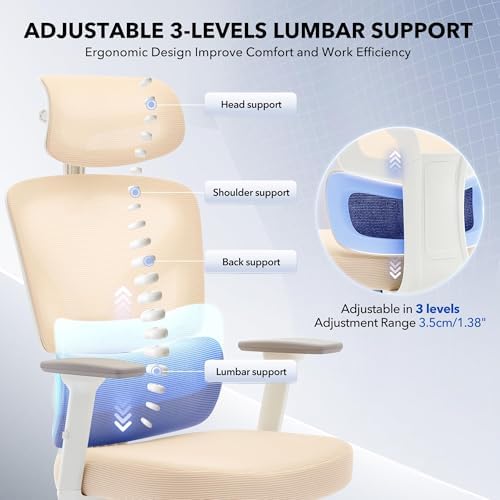 Ergonomic Office Chair with Adjustable Lumbar Support,Beige