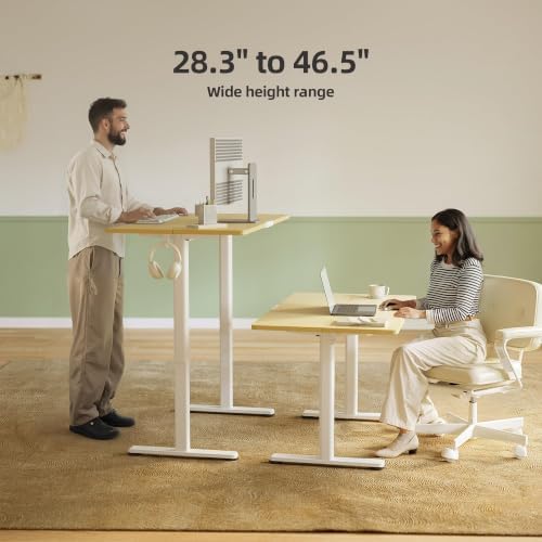 INNOVAR Electric Height Adjustable Standing Desk, 63x24 Inch, Nature