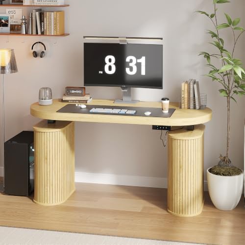 Electric Standing Desk with Storage, 55" Mid Century Modern Sit Stand Desk