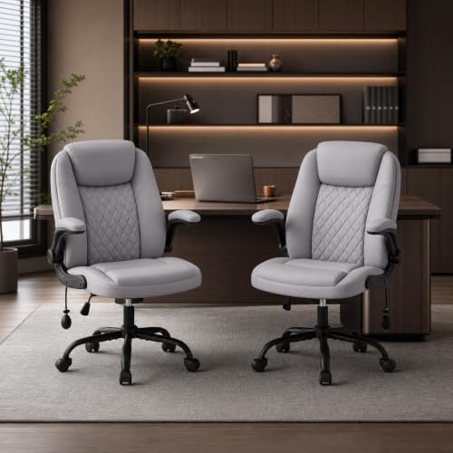 MALOL Leather Office Chair with Adjustable Lumbar Support Set of 2, Grey