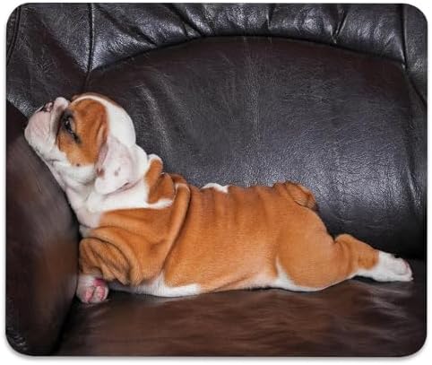English Bulldog Mouse Pad, Puppy Resting on a Sofa Durable Desk Mat