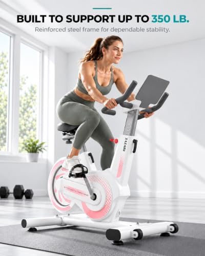 Exercise Bike for Home, Under 20 dB Quiet Magnetic Stationary Bike
