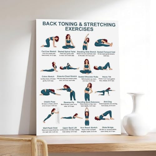 Back Exercises Seated And Standing Back Exercise Upper And Lower Home Workout Chart Gentle No Equipment Exercise Canvas Poster Wall Art for Living Room Bedroom Decor Unframe 20x30inch