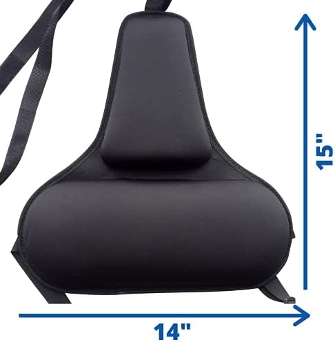 FOMI Firm Gel Foam Back Support (14" x 15") Care | Upper Lower Thoracic and Lumbar Support for Car, Home, Office Chair | Promotes Healthy Posture, Sciatica Pain Relief