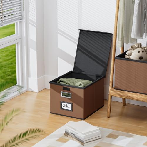 File Organizer Box with Lids, Collapsible File Folder Organizer