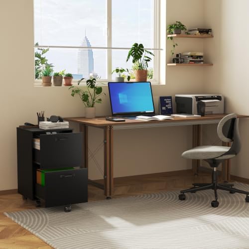 2 Drawer Rolling File Cabinet with Wood Printer Stand