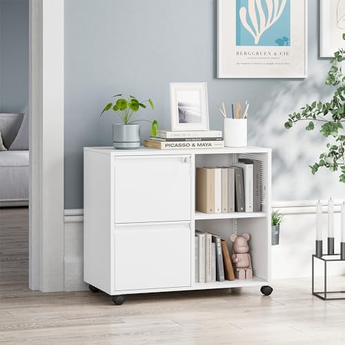 MIIIKO 2 Drawer File Cabinet with Lock, Metal Rolling Printer Stand Filing Cabinets with Drawers for Home Office,A4, Letter Size File Folders(White)