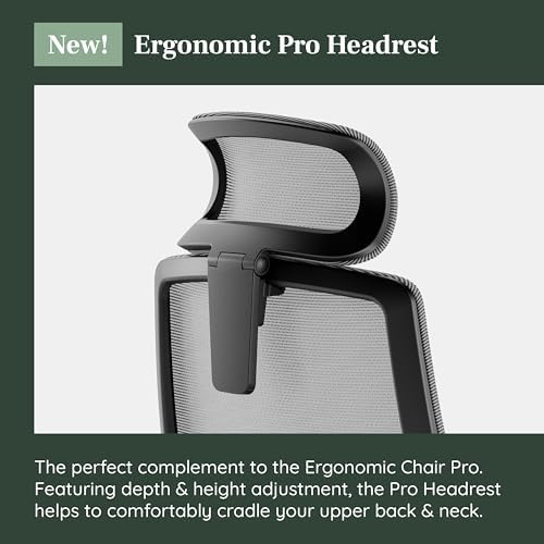 Branch Adjustable Ergonomic PRO Headrest Attachment