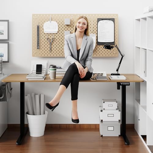 Shintenchi Standing Desk, 63x24 Inch Height Adjustable Electric Sit Stand up Desk, Ergonomic Rising Computer Table, Modern Lift Gaming Desk Workstation for Home Office, White