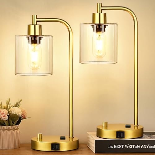 Lynnoland Set of 2 Industrial Table Lamps with USB Port, Gold Fully Stepless Dimmable Bedside Lamps for bedrooms, Nightstand Desk Lamp with Clear Glass Shade for Reading Living Room Office 2 LED Bulb