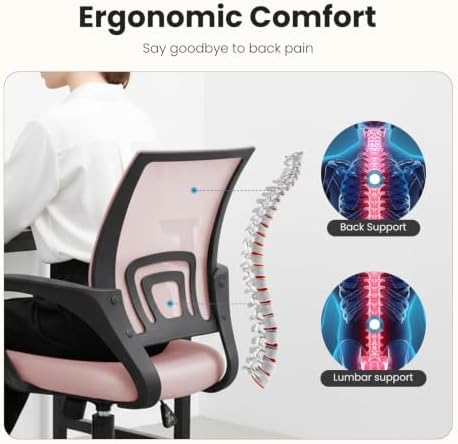 DUMOS Ergonomic Office Chair, Executive Desk Chair with Lumbar Support