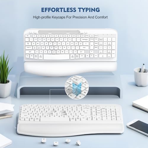 EAYBLLY 2.4G Wireless Ergonomic Keyboard, Full Size Wave Keys with Memory Foam Wrist Rest & 7.28in Phone Holder, USB-C Adapter Included for Windows Mac Chrome OS, Office or Home (White)