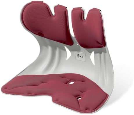 BKT Ergonomic Seat Cushion - Lumbar Support Pillow for Office Chair & Floor