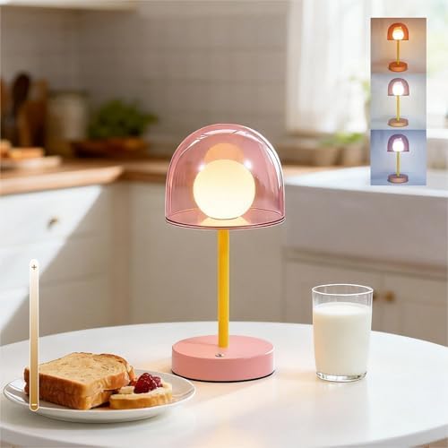 Pink Rechargeable Lamp, Coffee Table Small Lamps, Funky Desk Lamp