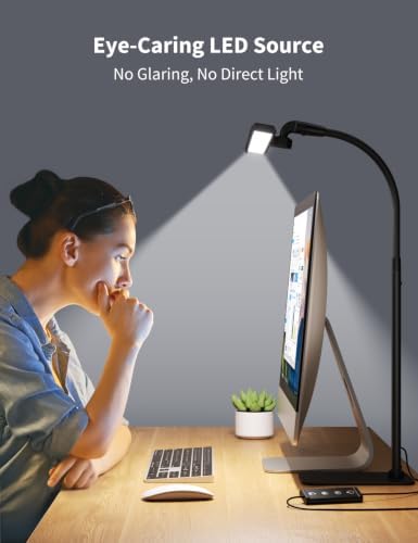 Kary LED Desk Lamp, Flexible Gooseneck Task Light with Base and Timer